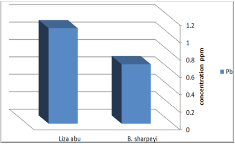 Figure 1: Shows the Concentration of Lead(ppm) in the Muscles of the Fish Under Study